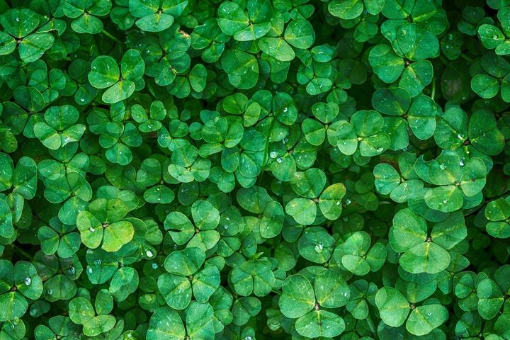 7 Ранкових ритуалів, що заважають стати стрункою 7 Ранкових ритуалів, що заважають стати стрункою
