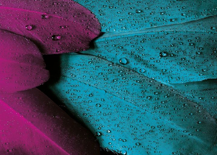 Nanoasia від Кіри Сорокіної лауреат премії з прав споживачів Nanoasia від Кіри Сорокіної лауреат премії з прав споживачів